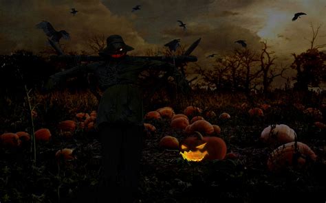 Halloween 4k Ultra Hd Wallpaper Background Image 4000x2500