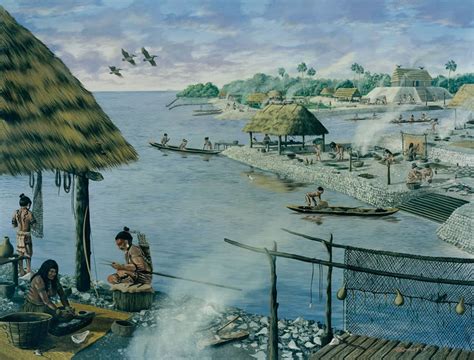 Ep 0071 The Calusa Indians The Dangerous History Podcast