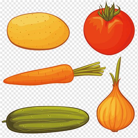 Carrot Onion Drawing 5 In The Vegetables Natural Foods Png Material