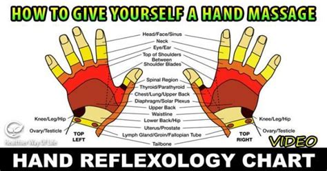 How To Give Yourself A Hand Massage Hand Massage Hand Reflexology Reflexology Chart