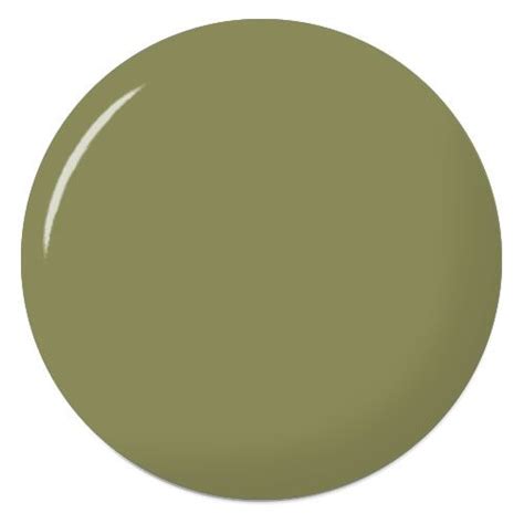 Nice Voc Free Paint Olive Green Accent Wall Moss Green Green