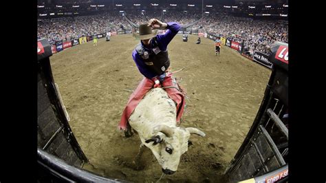 Bull Rider Dies After Being Injured During Event At National Western