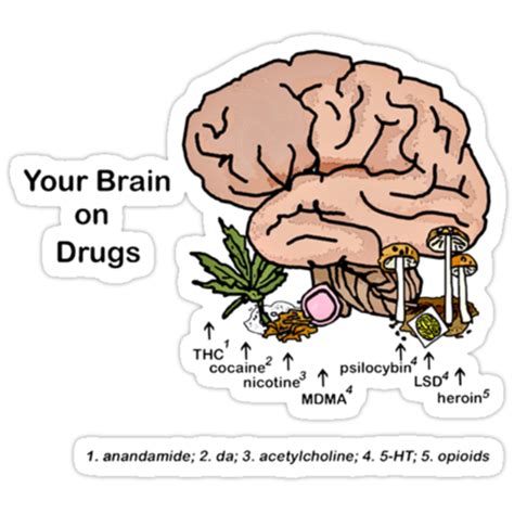 Your Brain On Drugs Stickers By Bumpybrains Redbubble