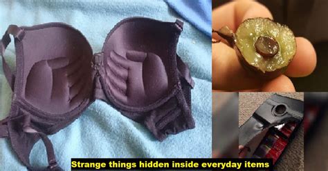 10 Unexpected Things Hidden Inside Everyday Items Genmice