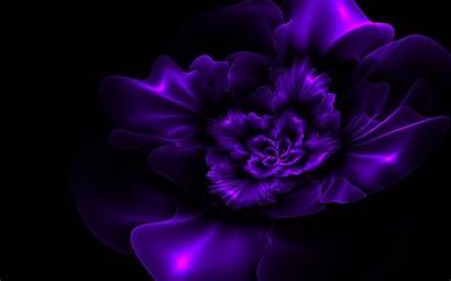 Purple Dark Background Flower Fractal Wallpapersafari