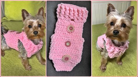How To Crochet A Small Dog Sweater Xs 22kg Step By Step For