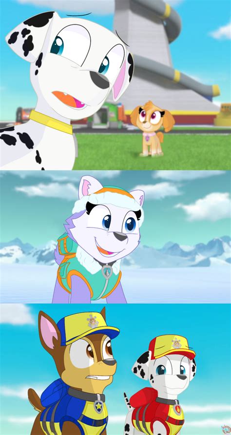 Paw Patrol Collage 4 By Rainboweevee Da On Deviantart