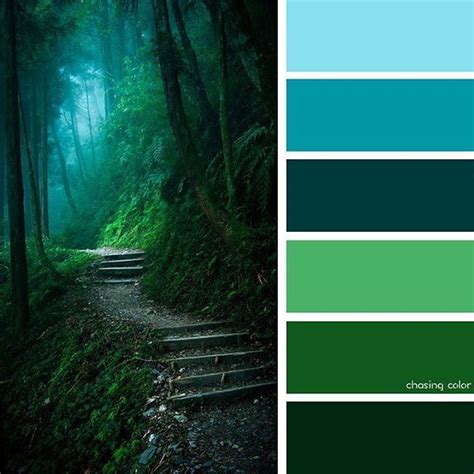 Color Palette Shades Of A Forest Walkway House Color Palettes