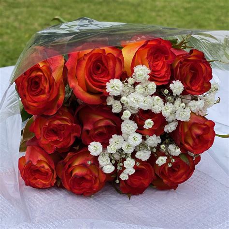 Box Of 100 Roses Individually Wrapped 40cm 16″ Mr Roses Farms