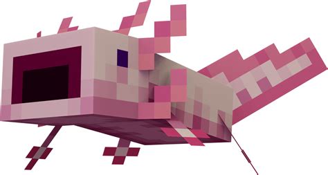 Minecraft Axolotl Texture