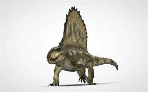The dimetrodon makes three bite attacks. Manuel Gil Jaramillo - Dimetrodon