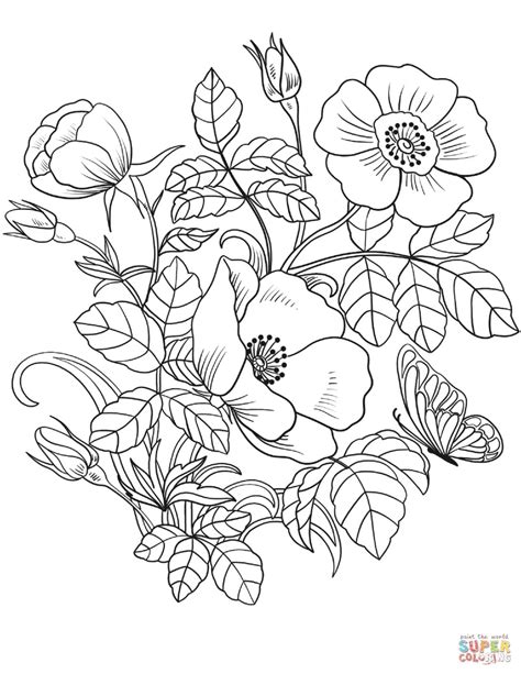 Large Flowers Coloring Pages Coloring Home