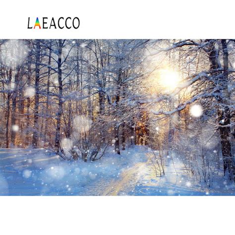 Laeacco Winter Snow Forest Way Polka Dots Bokeh Sunshine Scenic