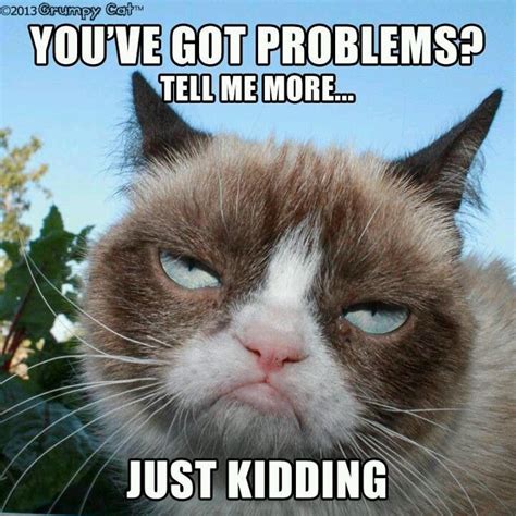 Pin By Meredith Stenzel On Tard The Grumpy Cat Funny Grumpy Cat Memes