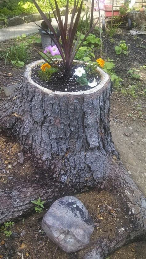 How To Make Your Own Tree Stump Planter Diy Projects For