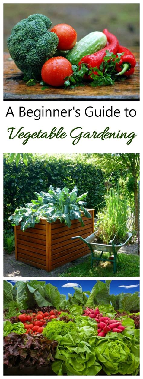 Vegetable Gardening The Complete Guide To Growing Your Own Food Vegetable Garden For