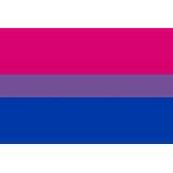 Lgbt flags wallpapers wallpaper cave. Most viewed Bisexual Pride Flag wallpapers | 4K Wallpapers