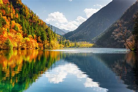 Scenic View Of The Panda Lake Autumn Forest Reflected In Water Stock