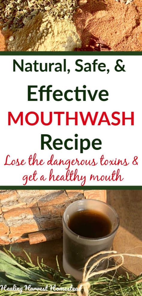 Herbal Antibacterial Mouthwash Recipe That Works Try This Natural