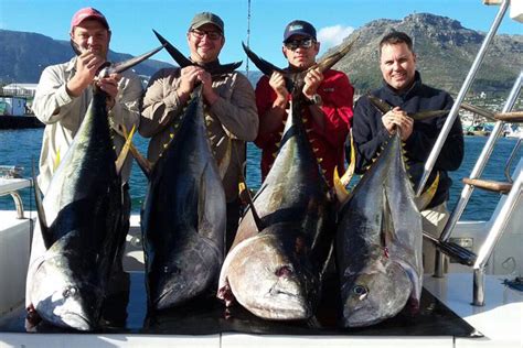 Yellowfin Tuna Fishing Cape Town South Africa Sportquest Holidays