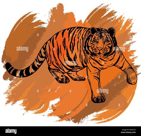 Hand Drawn Sketch Style Tiger Isolated Vector Illustration Stock