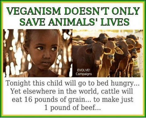 Veganism Doesn T Only Save Animals Lives Evolve Campaigns Tonight This