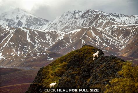 Alaska Wallpapers Top Free Alaska Backgrounds Wallpaperaccess