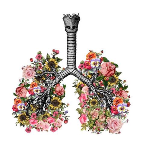 Flower Lungscolorful Floral Lungs Flower Lungs Anatomical Lungs Art