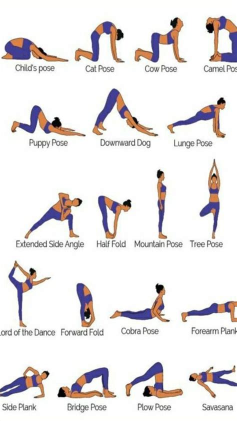 Minute Beginner Yoga Routine For Flexibility Practice These Yoga Poses To Gain Flexibility