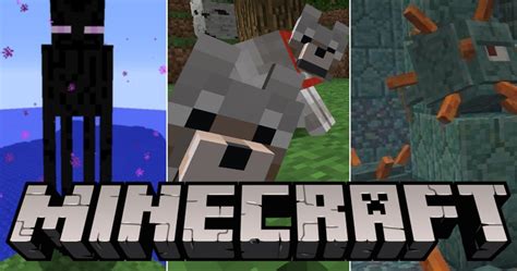 Minecraft Mobs Are So Interesting And Creative Check Some Of The Types