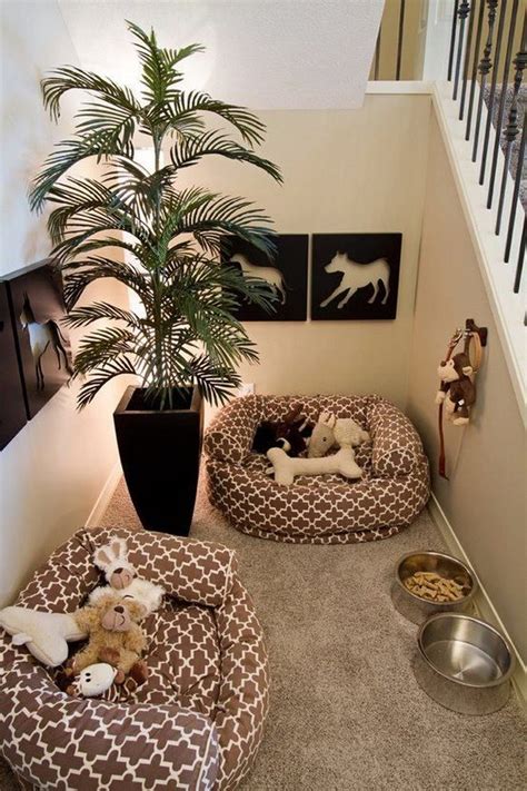 Turn A Small Closet Into A Dog Bedroom Diy Projects For Everyone