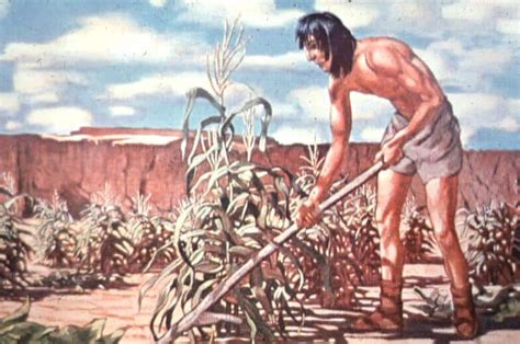 10 Things About The Agricultural Revolution Historys Greatest Revolution