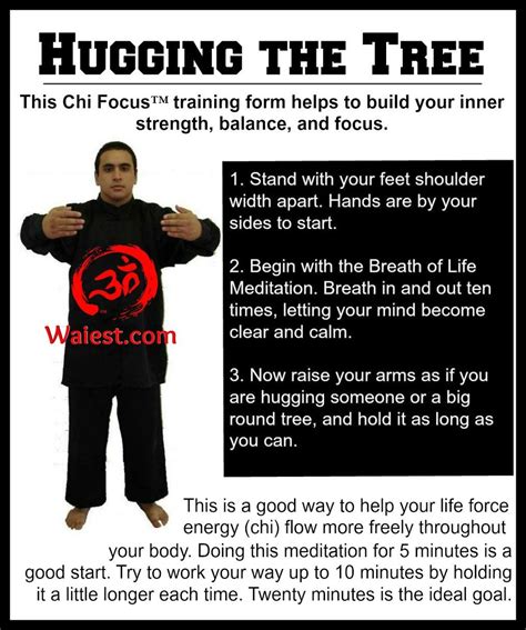 Hugging The Tree Qigong Chi Kung Tai Chi Chuan