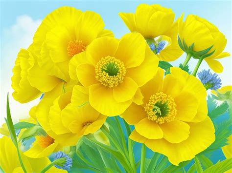 Buttercup Flower Meaning And Symbolism Florist Empire
