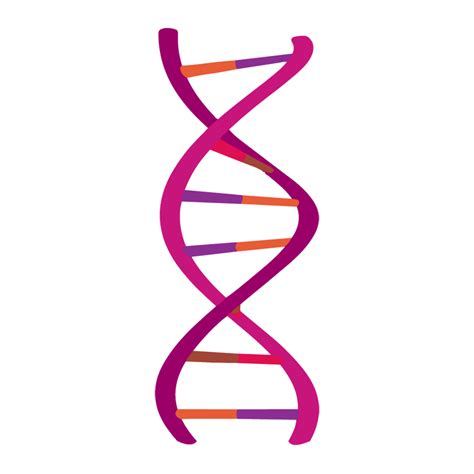 Dna