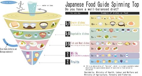 Guías Alimentarias Cómo Se Debería Comer Según Tu País