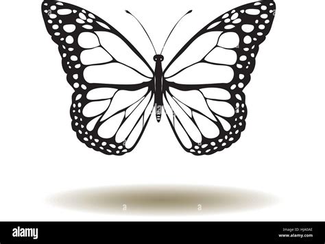 Ilustración vectorial de mariposas vintage Imagen Vector de stock Alamy