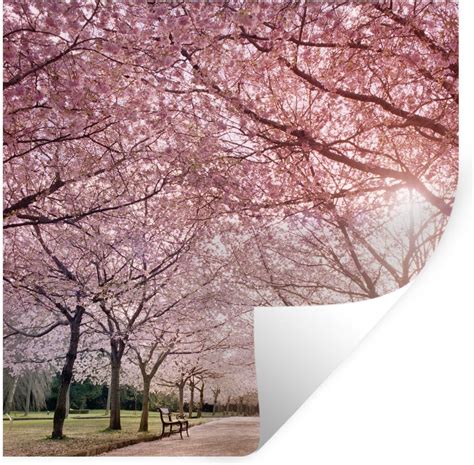 Muursticker Sakura Boom Sakura Bomen Tijdensheldere Dag 40x30 Cm