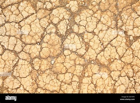 Desert Sand Texture Background Dry Land Soil Closeup Stock Photo Alamy