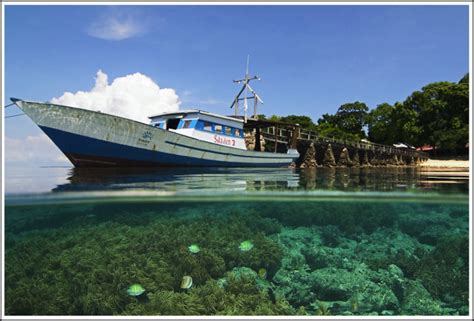 Diving Indonesia The Complete Guide To Bunaken