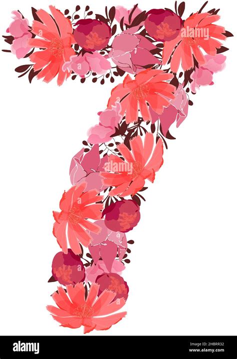 Vector Flower Number 7 Botanical Character Figure Pink Maroon