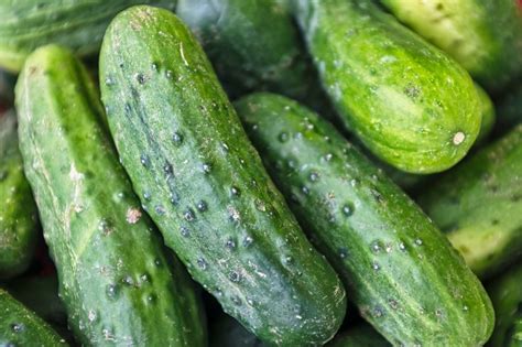 Beginners Guide On How To Grow Cucumbers