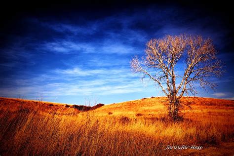 Kansas Winter Landscape Photograph By Jennifer Broadstreet Hess