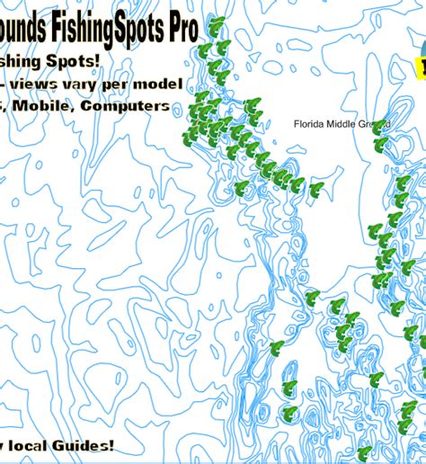 Florida Middle Grounds Fishing Spots Gulf Gps Fishing Spots