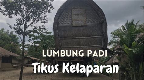 Lumbung Padi Lombok Keren Anti Tikus Sasak Sasaklombok Youtube