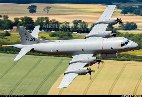 6603 Norway Royal Norwegian Air Force Lockheed P 3c Orion At Off