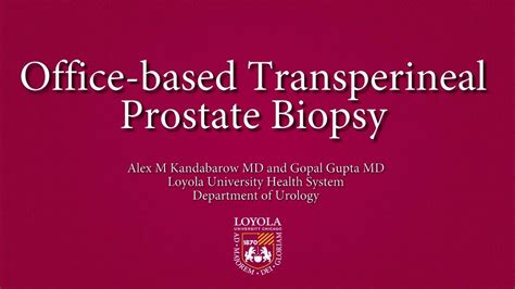Core Videos 2020 Office Based Transperineal Prostate Biopsy Youtube