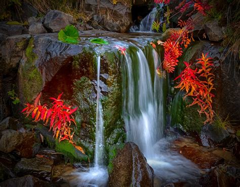 Wallpaper Landscape Colorful Forest Leaves Waterfall Rock