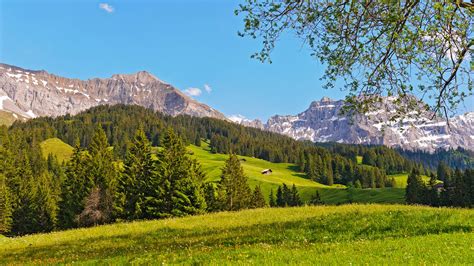 Schweiz Landschaft Berge Wiese Wald Bäume 1920x1200 Hd