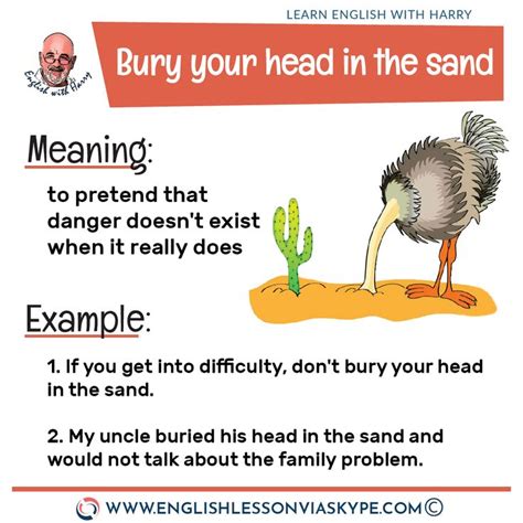 English Idioms Bury Your Head In The Sand Meaning Learn English